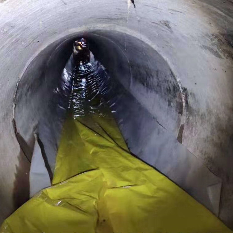 秀英管道光固化修复